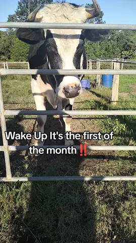 #fyp #viral #trend #wakeupitsthefirstofthemonth #famous