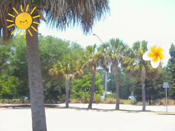 summer is coming to an end, so here’s a throwback to when i went to florida in june 🌴☀️ #fyp #nostalgia #webkinz #Summer #florida  