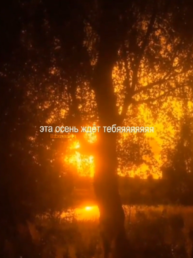 #осеньиалкоголь #триднядождя #zxnasqq  #реки #lyrics #songs #рек #рекомендации  #глебтриднядождя #глебтдд #топ #популярное #video #musica #followme #fyp  #foryou #foryoupage #trending #любовьаддикцияимарафоны  #осень 
