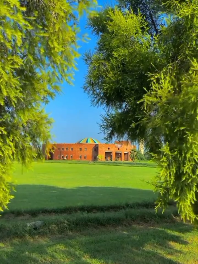 #awkum #gardencampus  #beauty 