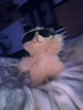 u want the world u get the world #fyp #fypシ #Fyp 