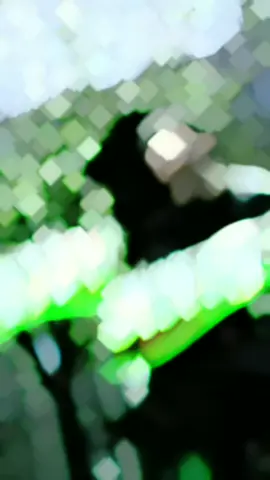 Black General 🖤🖤🖤