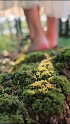 When energy feels heavy or misaligned, the elements become our medicine, guiding us home to balance: 🔥 Fire burns away what no longer serves, igniting transformation and passion within. 🌍 Earth anchors us, steadying our body and spirit so we can stand strong in truth. 💧 Water washes our emotions clean, teaching us to flow with grace and surrender. 🌬️ Air clears the mind, carrying in fresh perspective and the whispers of Spirit.