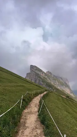 🌿⛰️