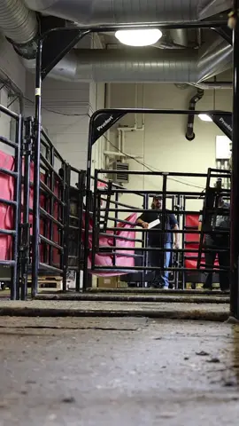 Preachers Kid marking a 45 today vs @Sage Kimzey! The old man’s still got it thanks to @OptiWize Health and Two Bulls!! #buckingbull #pbr #records #81-10 