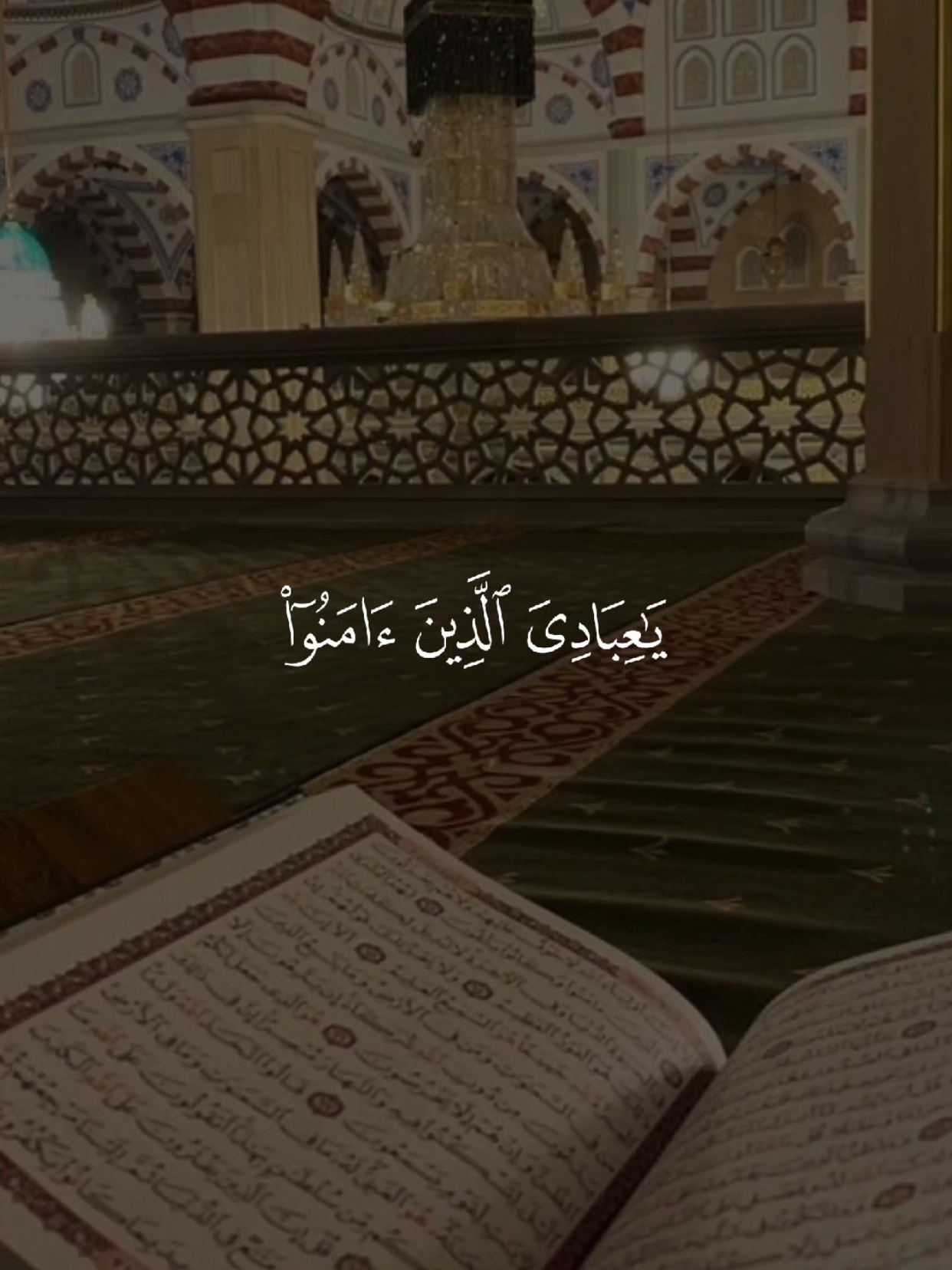 كل نفس ذائقة الموت 🤍 #قران #quran #قران_كريم #Allah #اللهم_صلي_على_نبينا_محمد 