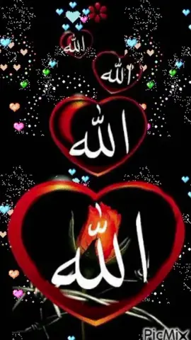 quran # allah # Muhammad #fpy_tiktok #follow #foruyou #fpy #foruyou 