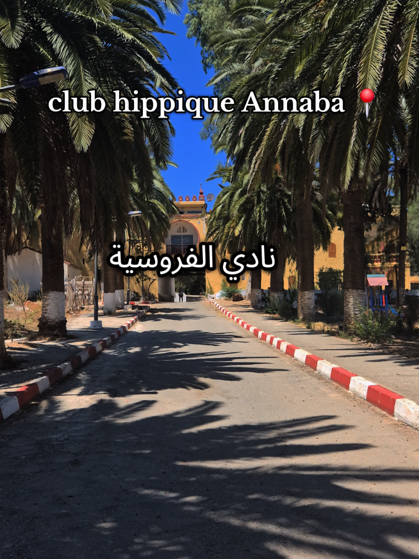 #annaba #clubhippique #cheval #pourtoii #frypgシ