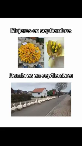 Reto septiembre #retodeseptiembre #septiembre2025 