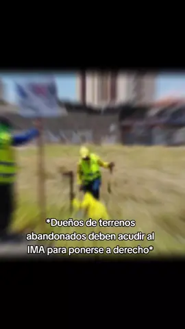 Bajo el plan 