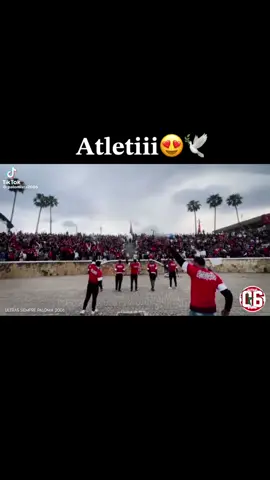 #siemprepaloma2006  #ultras #tetouan #morocco #paloma   🕊❤️