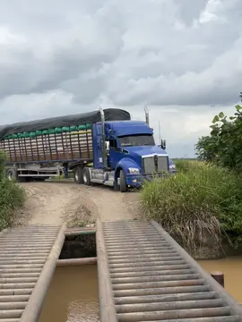#cosechaarroz🌾🌾 #llanoscolombianos #t880kenworth #kenworth 