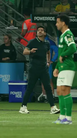 Se deixarem, ele entra em campo para ajudar o @SE Palmeiras! 🤣🇵🇹 #palmeiras #abelferreira #Libertadores #GloriaEterna #tiktokesportes 