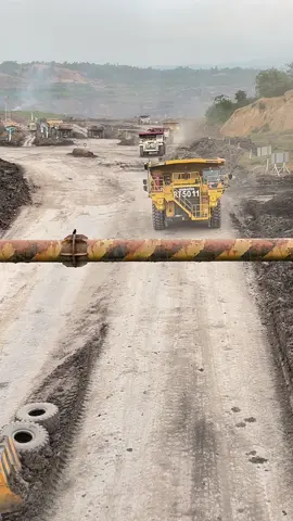 Kalau ga ikut suami merantau ke Kalimantan ga bakalan tau kalau ada truck raksasa di Kalimantan #tambang #vibes #tambangbatubara #tambangbatubarakalimantan #kulitambang #anaktambang #pamapersadanusantara #kalimantanprimapersada #kaltimprimacoal #pejuangrupiah #pejuangkeluarga #jawa #kalimantan #fypage #trend #bcaxyz #masukberanda #jowopride 