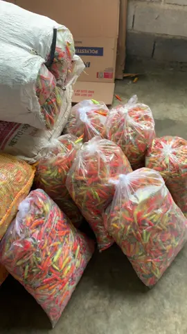 Pesan terkirim #cabetemanggung  #cabewonosobo  #caberawit 