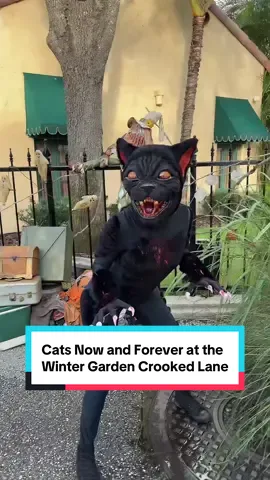 Now and forever at the Winter Garden Crooked Lane 🐈‍⬛  #hhn #halloweenhorrornights #universalorlando #catsthemusical 