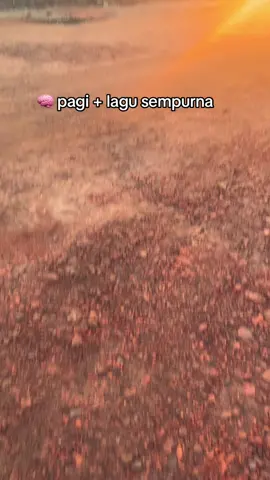 jangan lupa berak#masukberanda #fyp #storytambang #anaktambang #vibes 