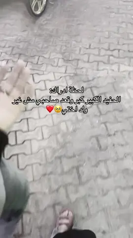 #سبها_ليبيا_الجنوب_الليبي #سبها_ليبيا_الجنوب_الليبي_المنشية #سبها_ليبيا_الجنوب_الليبي_المنشية #هبة زيدان