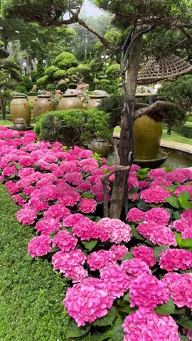 Bình yên #coxanhnho90 #tayninh #canhdep #thiennhien #camtucau 