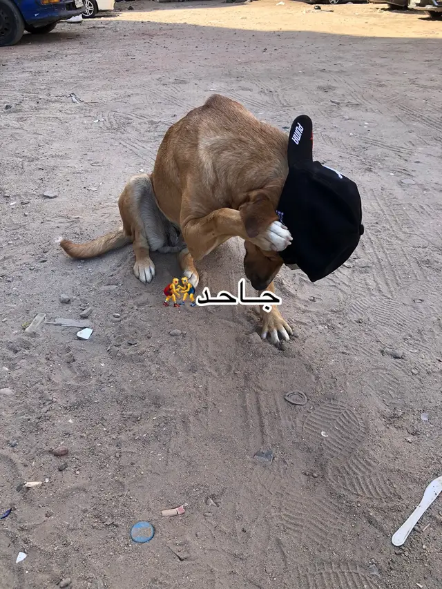 #foryou #مشاهدات #explore #مشاهير_تيك_توك #fyp 