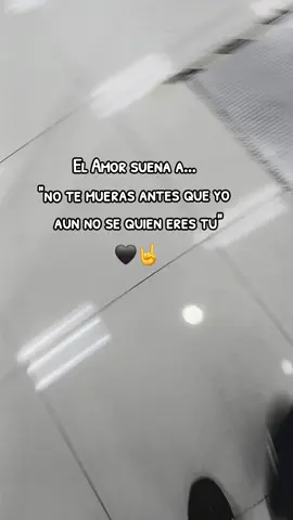 Algun dia te encontrare🖤 #rock #rammstein #music 