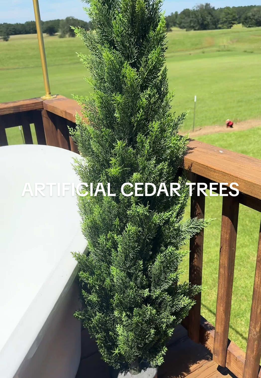 I could not pass up these artificial cedar trees for fall and winter 🍂 #artificialcedar #cedartree #artificialplants #outdoorfalldecor #tiktokshopcreatorpicks 