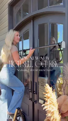 Amazon NEW seasonal find! The easiest way to hang your seasonal garland! I am completely obsessed with this no drill garland door hanger. Works for single and double doors! Tap the link in bio to shop! #amazonhome #amazonfind #fallfrontporch #fallaesthetic #fallvibes 