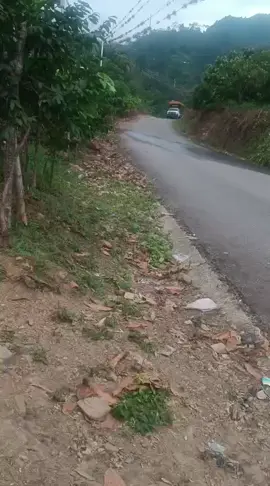 @ELTRUJILLANOO #tritóndevenezuela 