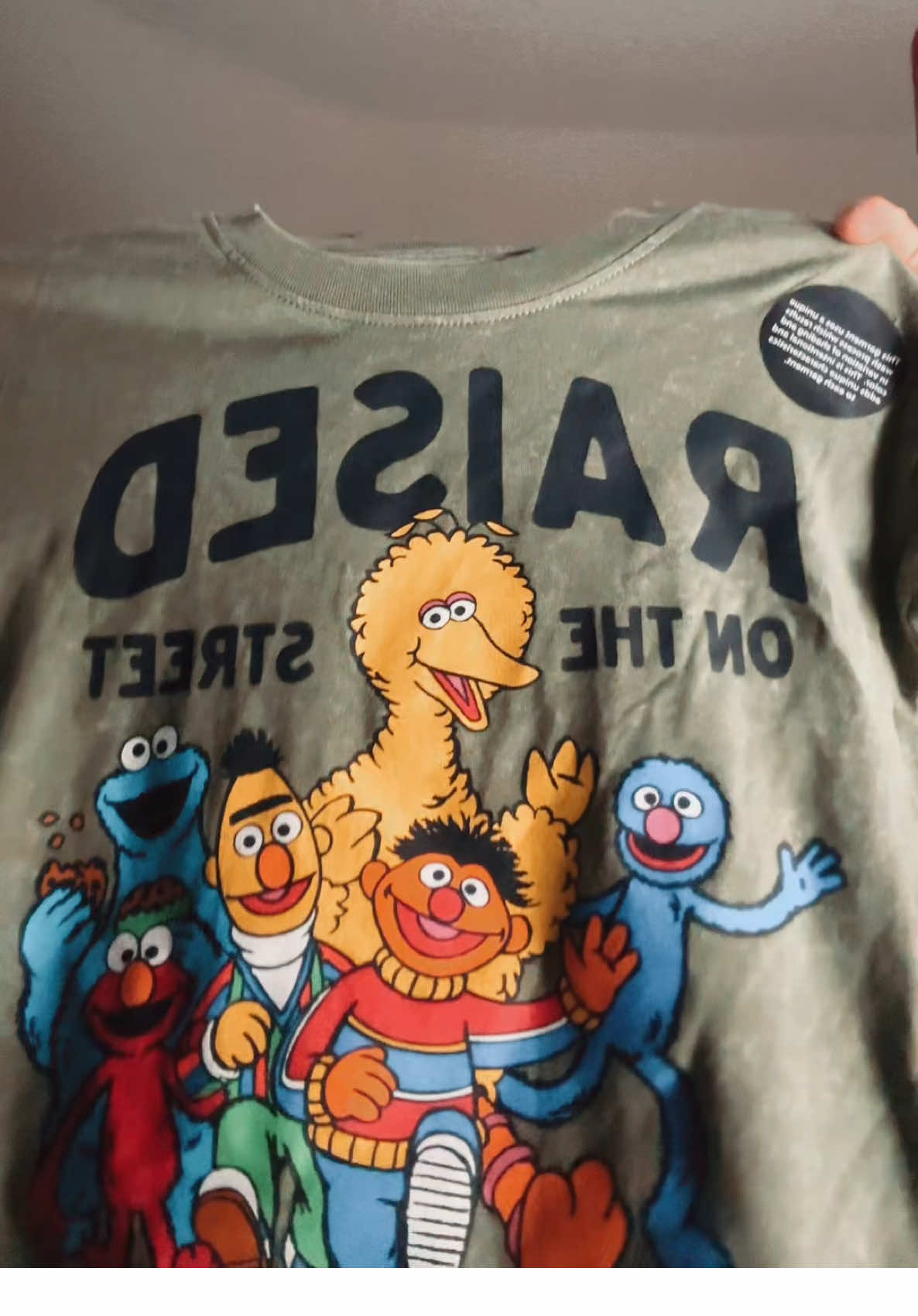 Walmart has been hitting lately. #toddler #walmart #walmartfinds #seasamestreet #shaniatwain 