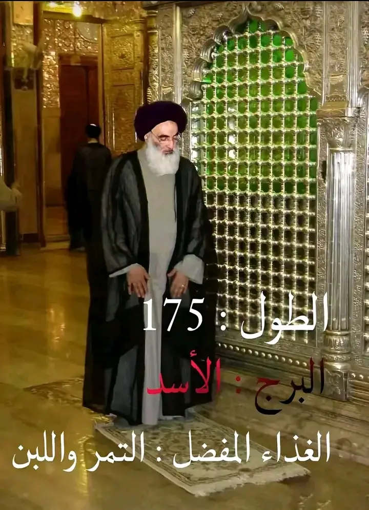 سيد علي السستاني ( دام ضله )