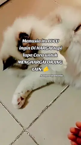 Assalamualaikum selamat pagi dan selamat beraktifitas 💪