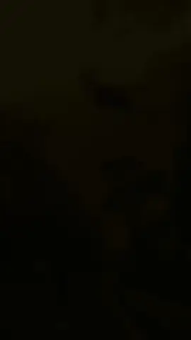 Thành phố trong sương mờ 🌫️🌁 buổi sáng trong lành & mát lạnh ☺️🤭 #CapCut #dalat #dalatreview #quynhquynhdalat_243 #dulichdalat 