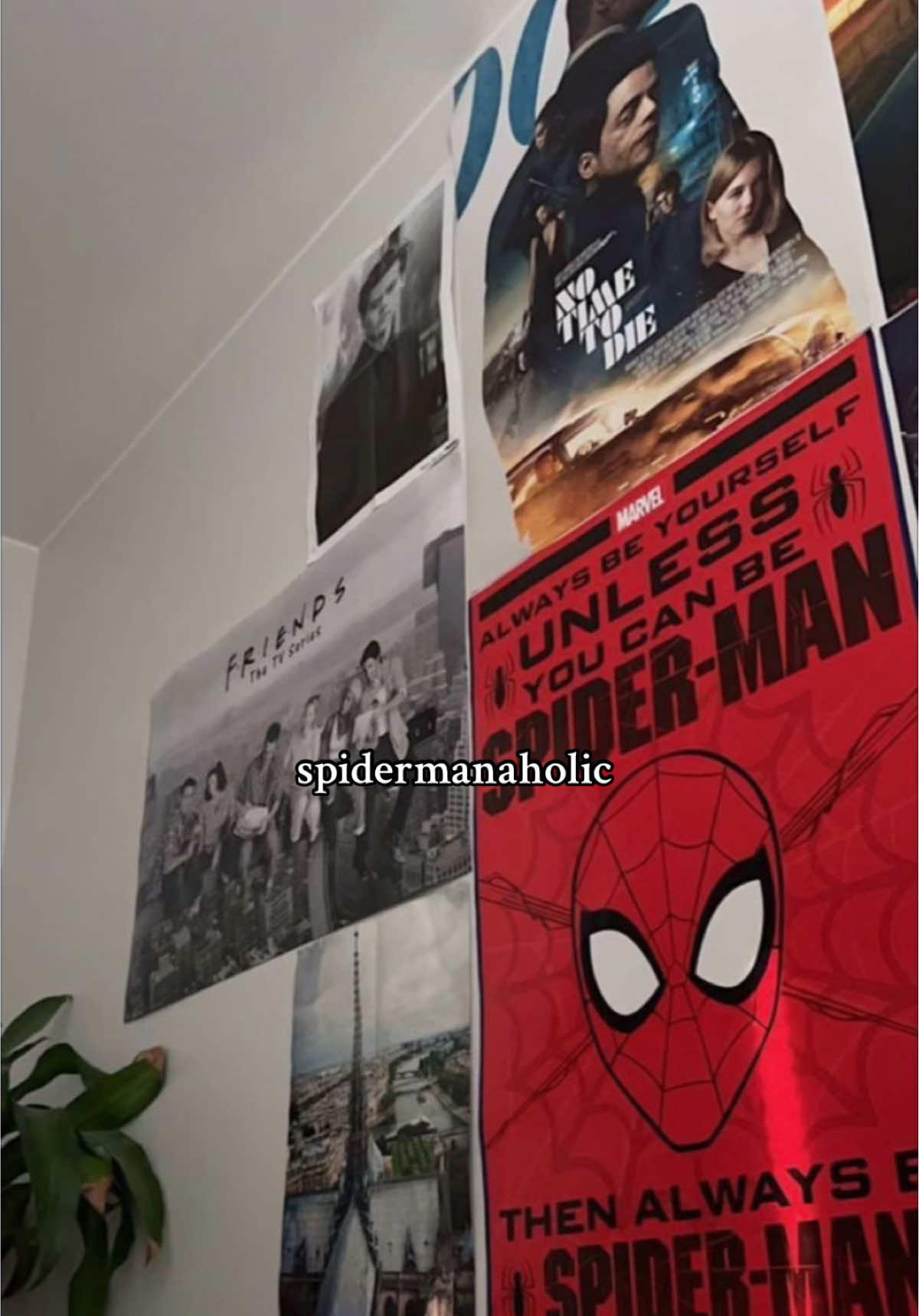 it’s not just a phase, it’s a lifestyle 🤝🏼 #spiderman #fyp #nerd #marvel 