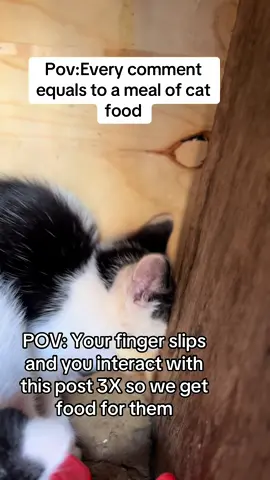 PLEASE SHARE THIS…..