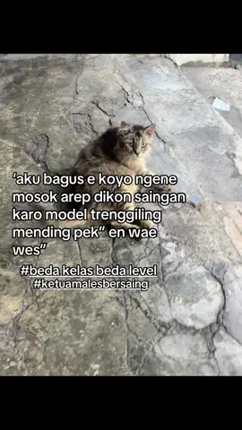 #xzybca 