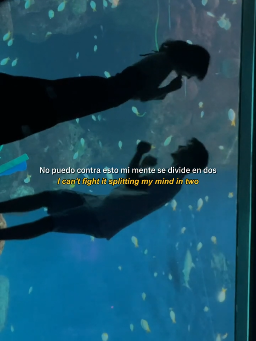 Admiro todo de ti #paratii #fypシ゚ #letrasdecanciones #foryou #surfcurse 