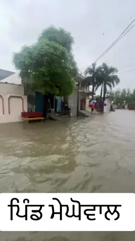 ਪਿੰਡ ਮੇਘੋਵਾਲ ਜ਼ਿਲ੍ਹਾ ਹੁਸ਼ਿਆਰਪੁਰ #punjab #hoshiarpur #flood #meghowaleasabhi 
