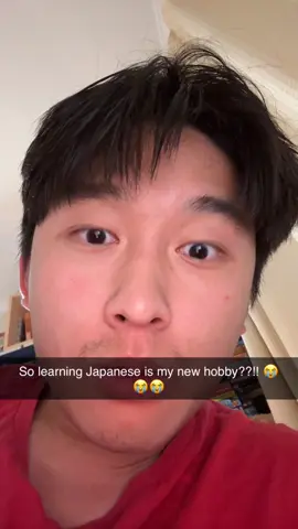 Who made this website #japaneselanguage #hayailearn #japaneseculture #japaneseboy #japaneselesson 