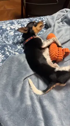 #ตามจังหวะ #ฟีดดดดด #ฟิดดดดดดดดดดด🥺 