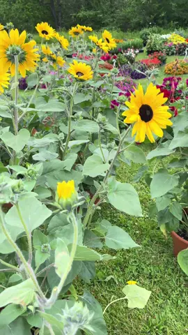 So many great finds! I love the vintage crocks for potting up my houseplants. What do you look for when you go thrifting? 
