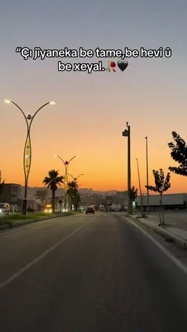 #cizre #73 #keşfet 