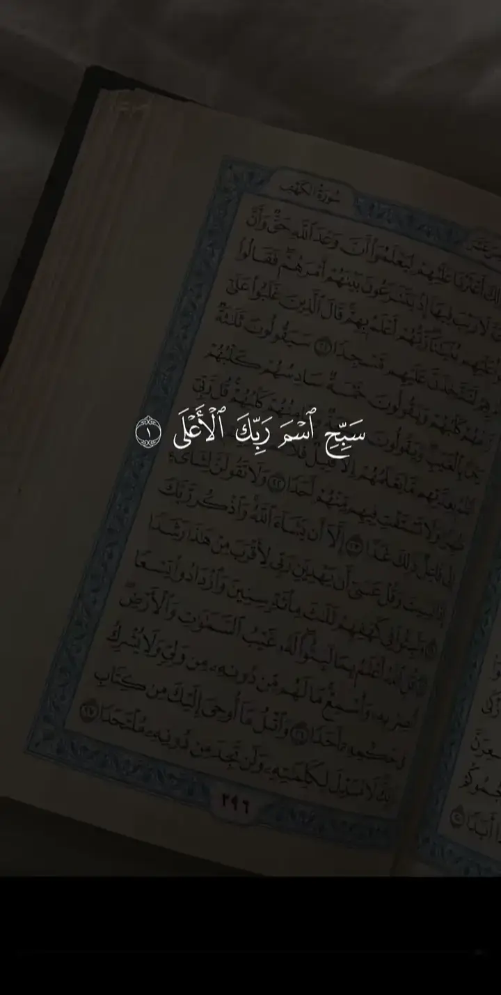 سبح اسم ربك الأعلى 🤍#qran #اسلام_الدرملي #قران_كريم 