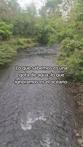 Isaac Newton #frases #fyp #isaacnewton #puyo #agua