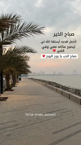 #صباح_الخير #كلام_من_القلب #كلمات_من_القلب #صباح_الخير_ياعيوني_ياجمل_شي_في_كوني_ #صباح_الخير_ياعيوني😍❤ 