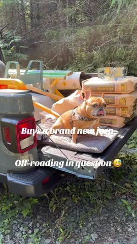Does this count as off roading 🤣 #jeeplife #jeepsoftiktok #jeepgirl #jeeptok #jeepgladiator 