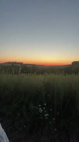beautiful view 