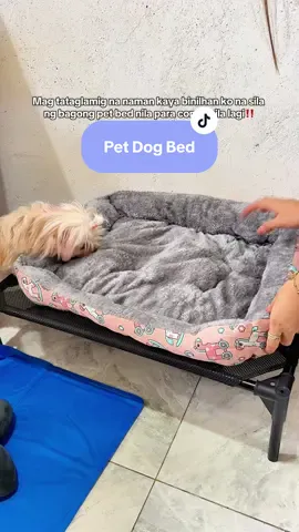 Ang lambot ng kutson nila eh#petbed #dogbed #catbed #bedforpets #bedfordog 