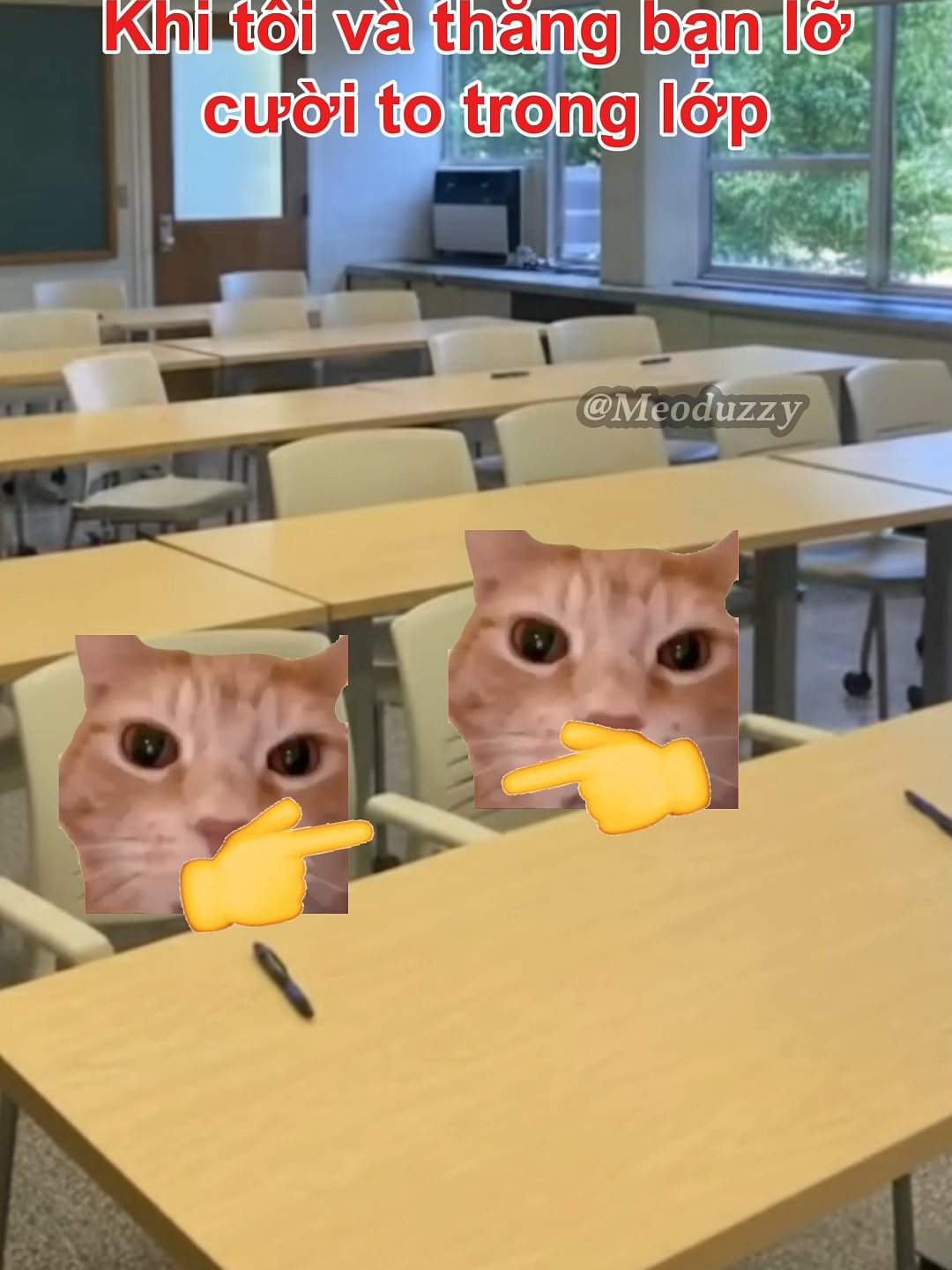 tôi và thg bạn lỡ cười to trong lớp #meme #pet #cat #haihuoc#xuhuong