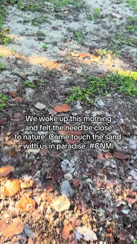 Even in the Mariana Islands life can get hectic. Our lives are so removed from the earth, so intertwined with a wireless world that can seem too crowded with noise. Sometimes you just need to touch the grass, or in our case, get some sand in your toes. 