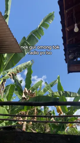#jowokuciwo 